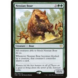 Cinghiale Nessian