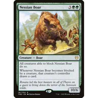 Cinghiale Nessian