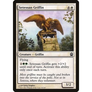 Grifone di Setessa