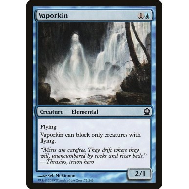 Vaporifera