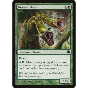 Aspide Nessian