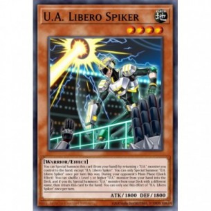U.A. Schiacciatore Libero