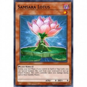 Samsara Lotus
