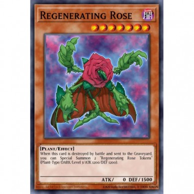 Regenerating Rose