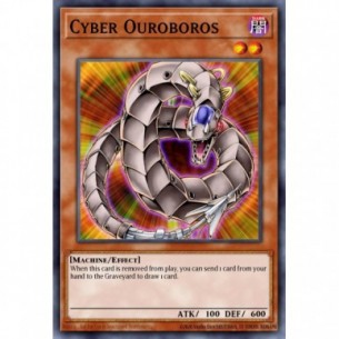Cyber Ouroboros