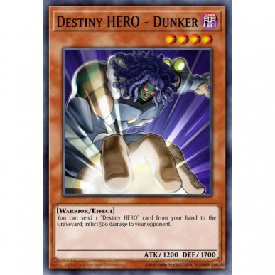 Destiny HERO - Dunker