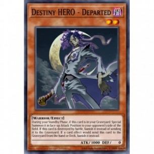 Destiny HERO - Departed