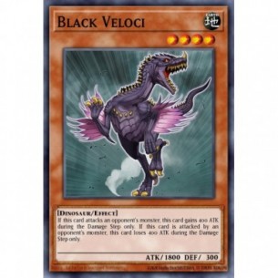 Black Veloci