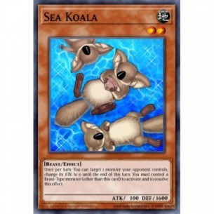Sea Koala