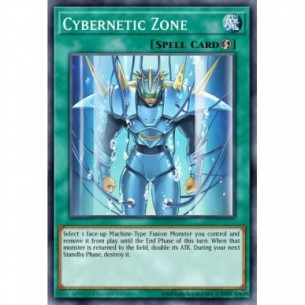 Cybernetic Zone