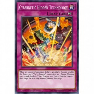 Cybernetic Hidden Technology