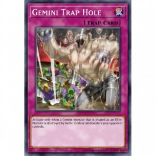 Gemini Trap Hole