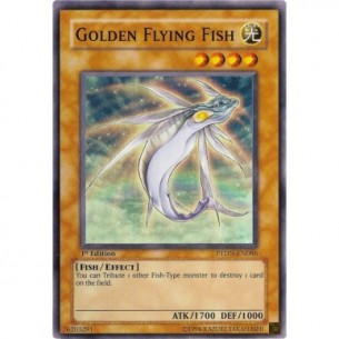 Golden Flying Fish