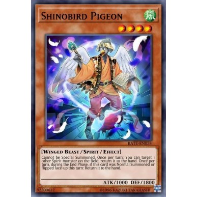 Shinobird Piccione