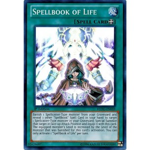 Libro di Magia della Vita