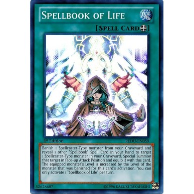 Libro di Magia della Vita