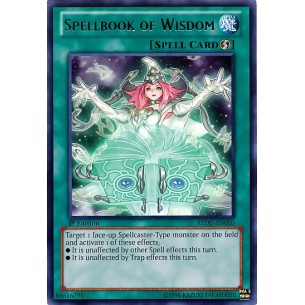 Libro di Magia della Saggezza