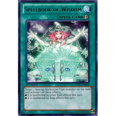 Libro di Magia della Saggezza
