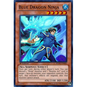 Blue Dragon Ninja