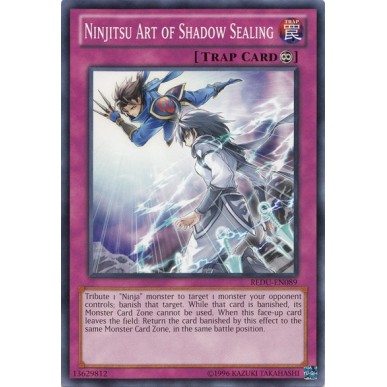 Arte Ninjitsu del Sigillo delle Ombre