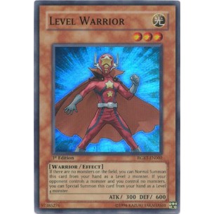 Level Warrior