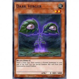 Dark Verger