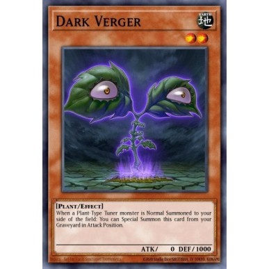 Dark Verger