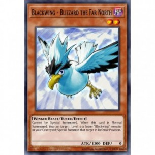 Blackwing - Blizzard the...