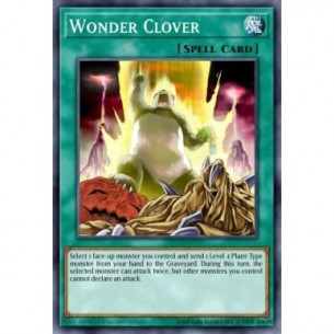 Wonder Clover