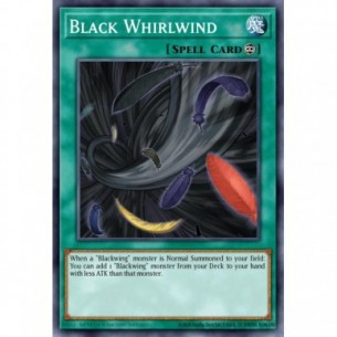 Black Whirlwind