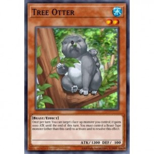 Tree Otter
