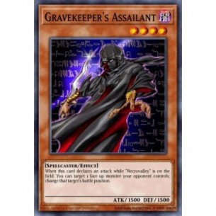 Gravekeeper's Assailant