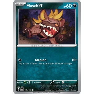 Maschiff