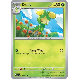 Dolliv
