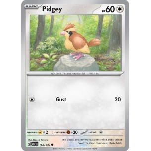 Pidgey