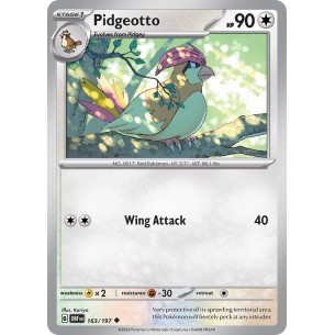 Pidgeotto