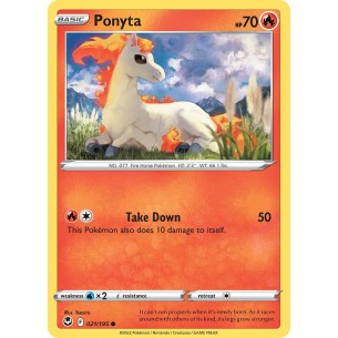 Ponyta