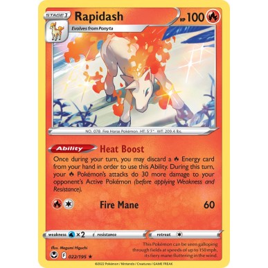 Rapidash