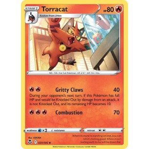 Torracat