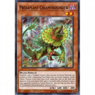 Predapianta Clamidosundew
