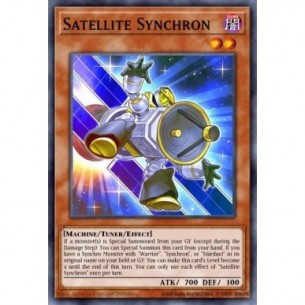 Satellite Synchron