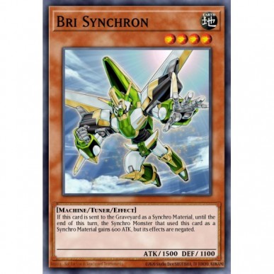 Bri Synchron