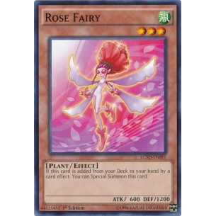 Fata delle Rose