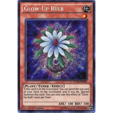 Bulbo Luminoso
