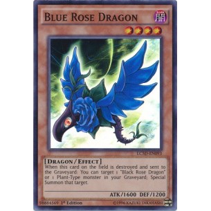 Drago Rosa Blu