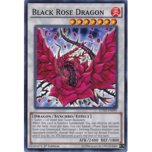 Drago Rosa Nera