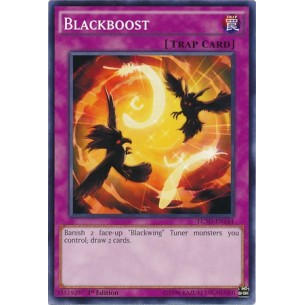 Potenziamento Nero