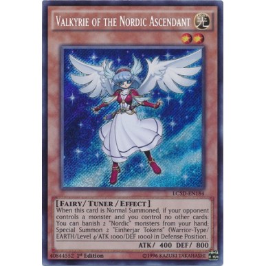 Valkyrie degli Antenati Nordic