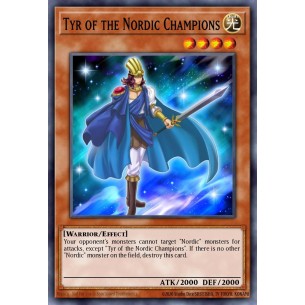 Tyr of the Nordic Champions