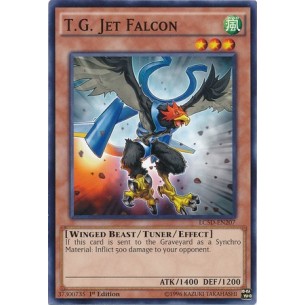 T.G. Falco Jet